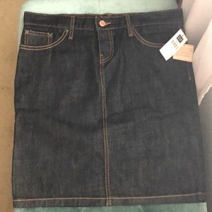Gap Dark Wash Jean Skirt